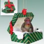 GGBA12 Mandrill Green Gift Box Ornament