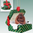 GGBA15 Orangutan Green Gift Box Ornament