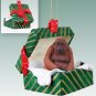 GGBA15 Orangutan Green Gift Box Ornament