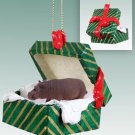 GGBA21 Hippo Green Gift Box Ornament