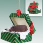 GGBA21 Hippo Green Gift Box Ornament