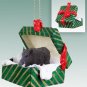 GGBA22 Hog, Razorback Green Gift Box Ornament