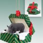 GGBA24 Rhinoceros Green Gift Box Ornament