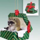 GGBA28 Raccoon Green Gift Box Ornament