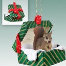 GGBA30A Squirrel, Red Green Gift Box Ornament