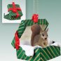 GGBA30A Squirrel, Red Green Gift Box Ornament