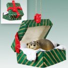 GGBA35 Badger Green Gift Box Ornament