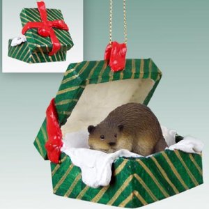 GGBA36 Beaver Green Gift Box Ornament