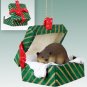 GGBA36 Beaver Green Gift Box Ornament