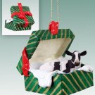 GGBA43 Holstein Cow Green Gift Box Ornament