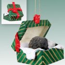 GGBA55 Porcupine Green Gift Box Ornament