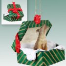 GGBA57 Coyote Green Gift Box Ornament