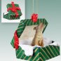 GGBA57 Coyote Green Gift Box Ornament