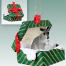 GGBA64 Kangaroo Green Gift Box Ornament