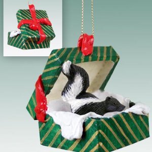 GGBA65 Skunk Green Gift Box Ornament