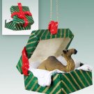 GGBA67 Camel, Dromedary Green Gift Box Ornament