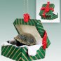 GGBA69 Turtle Green Gift Box Ornament