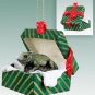 GGBA71 Iguana Green Gift Box Ornament