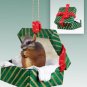 GGBA73 Chipmunk Green Gift Box Ornament