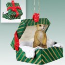GGBA74 Prairie Dog Green Gift Box Ornament