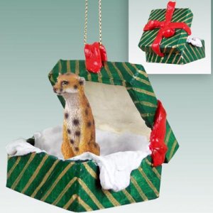 GGBA76 Cheetah Green Gift Box Ornament