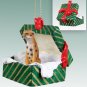 GGBA76 Cheetah Green Gift Box Ornament