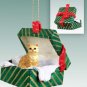 GGBC04 Shorthair Red Tabby Green Gift Box Ornament