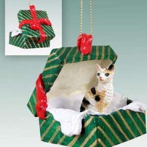 GGBC06 Cornish Rex Tortoise & White Green Gift Box Ornament