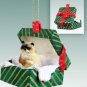 GGBC10 Ragdoll Green Gift Box Ornament