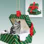 GGBC16 Maine Coon Silver Green Gift Box Ornament