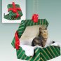 GGBC17 Maine Coon Brown Green Gift Box Ornament