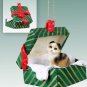 GGBC21 Scottish Fold Tortoise & White Green Gift Box Ornament