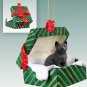 GGBC49 Shorthair Black Tabby Green Gift Box Ornament