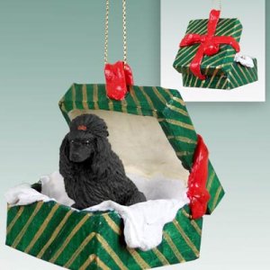 GGBD01D Poodle, Black Green Gift Box Ornament