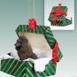 GGBD01E Poodle, Chocolate Green Gift Box Ornament