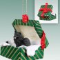 GGBD03B Pomeranian, Black  Green Gift Box Ornament