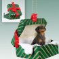 GGBD101B Doberman, Red, Uncropped Green Gift Box Ornament