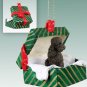 GGBD104E Poodle, Chocolate, Sport cut Green Gift Box Ornament