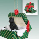 GGBD107 Bouvier Green Gift Box Ornament