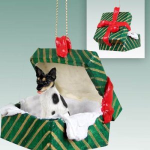GGBD109 Rat Terrier  Green Gift Box Ornament