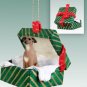 GGBD111 Italian Greyhound Green Gift Box Ornament