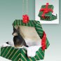 GGBD112 Belgian Turvuren Green Gift Box Ornament