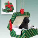 GGBD121B English Cocker Spaniel, Black Green Gift Box Ornament