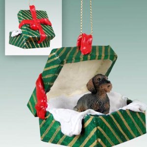 GGBD124 Wire Haired Dachshund Green Gift Box Ornament