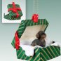 GGBD124 Wire Haired Dachshund Green Gift Box Ornament