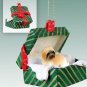 GGBD129B Lhasa Apso, Brown, Sport cut Green Gift Box Ornament