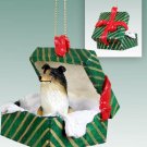 GGBD23B Collie, Tricolor Green Gift Box Ornament