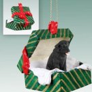 GGBD24A Labrador Retriever, Black Green Gift Box Ornament