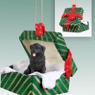 GGBD30 Newfoundland Green Gift Box Ornament