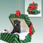 GGBD30 Newfoundland Green Gift Box Ornament